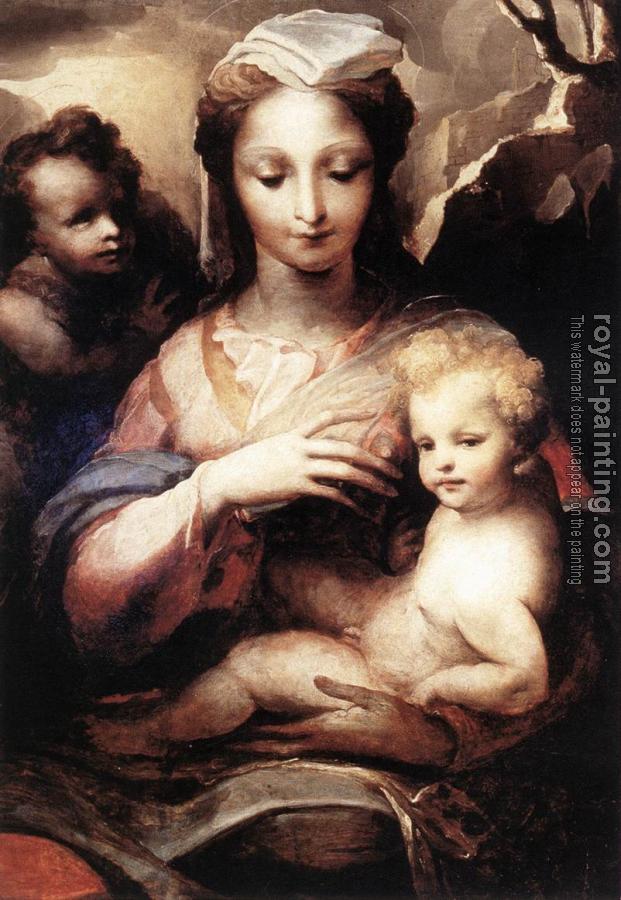 Domenico Beccafumi : Madonna with the Infant Christ and St John the Baptist